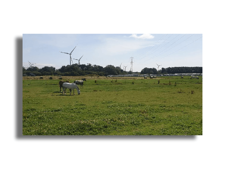 Motorhome meet-up at Bluesky Events Centre in Northumberland
